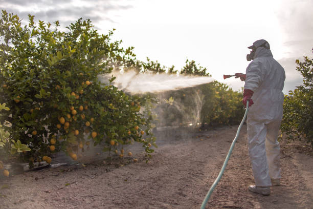 Best Bed Bug Extermination  in Garner, NC