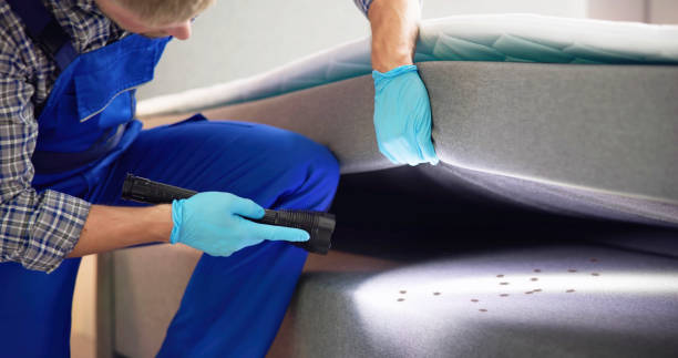 Best Wasp Removal Services  in Garner, NC