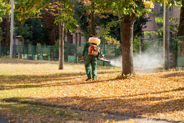 Best Local Pest Control Services  in Garner, NC