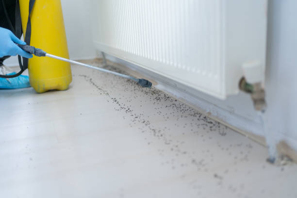Best Pest Prevention Services  in Garner, NC