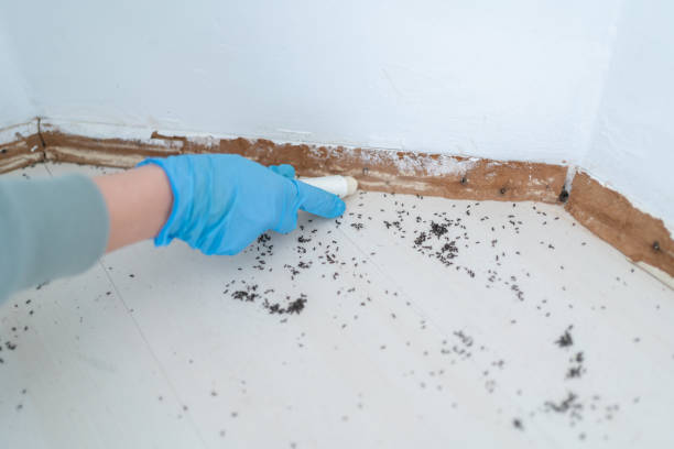 Best Pest Removal Services  in Garner, NC