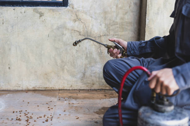 Best Pest Inspection Near Me  in Garner, NC